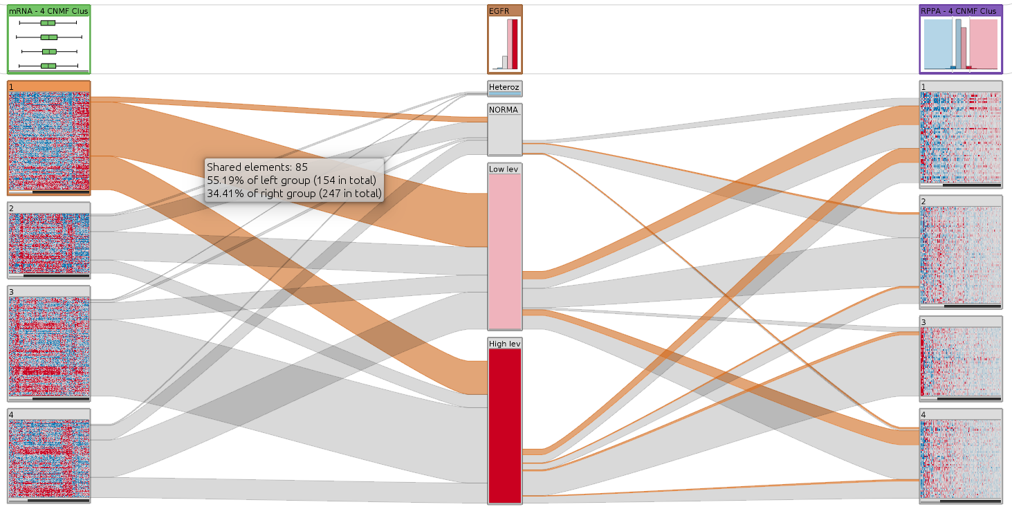 Screenshot of Caleydo StratomeX visualizing stratified mRNA expression data, copy number status of EGFR, and RPPA data using bands and ribbons, as well as embedded heat maps.